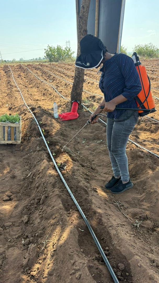 Sustainable Agriculture Initiative - Image 17